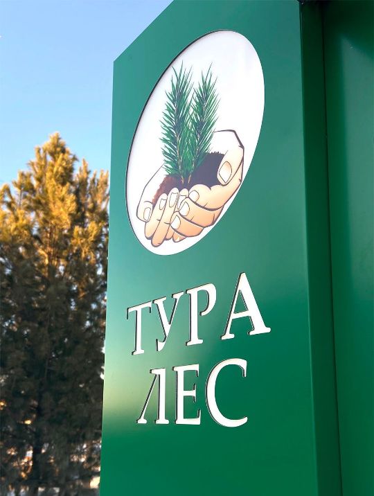 Тура лес