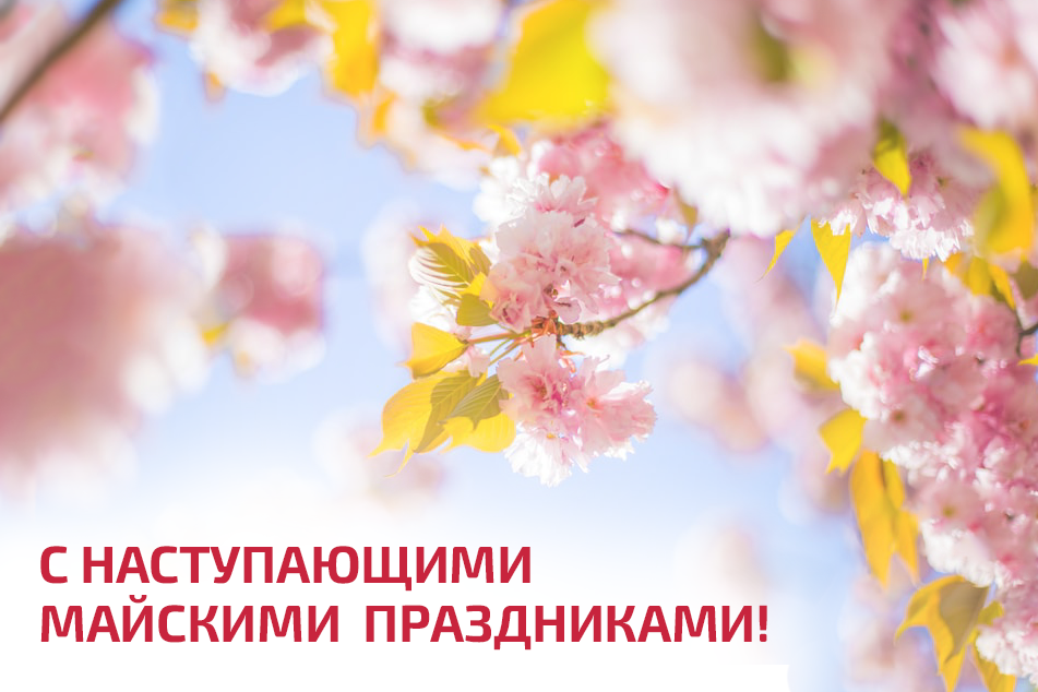 majskie prazdniki na sajt